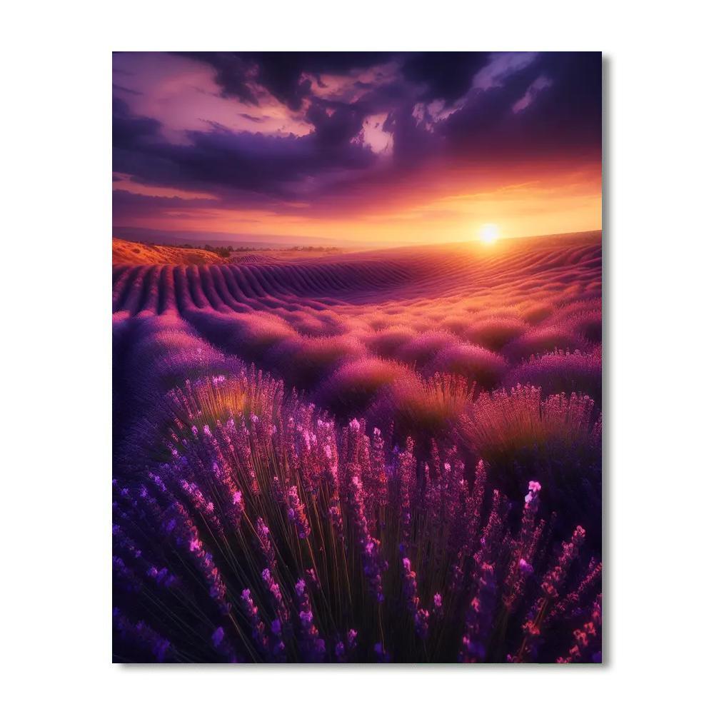 Blissful Lavender Haven Paint By Numbers Art