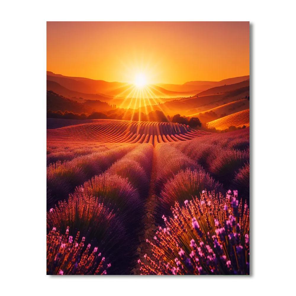 Charming Provence Lavender Fields Paint By Color