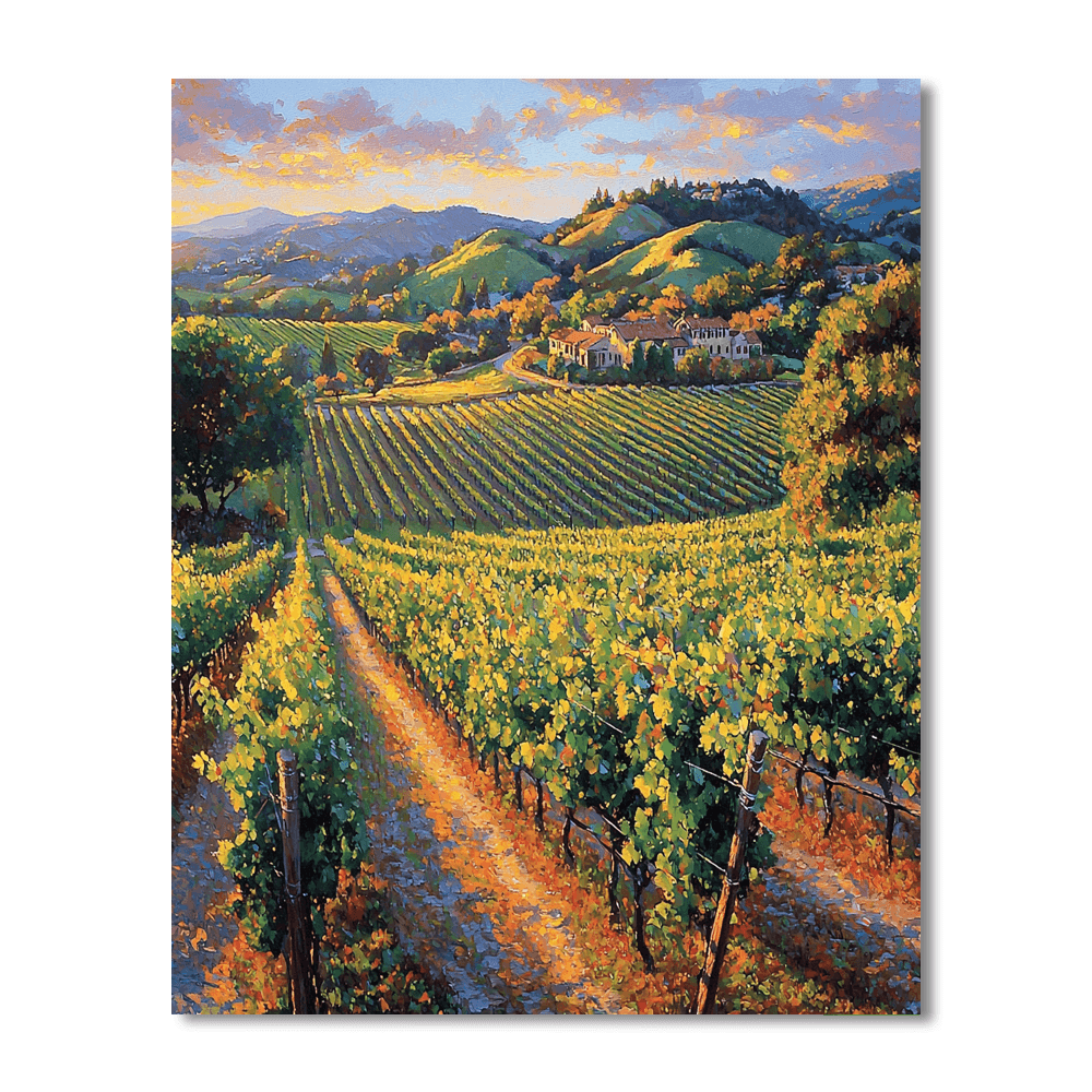 Napa Valley Vineyards - Usa Numbered Painting Kits