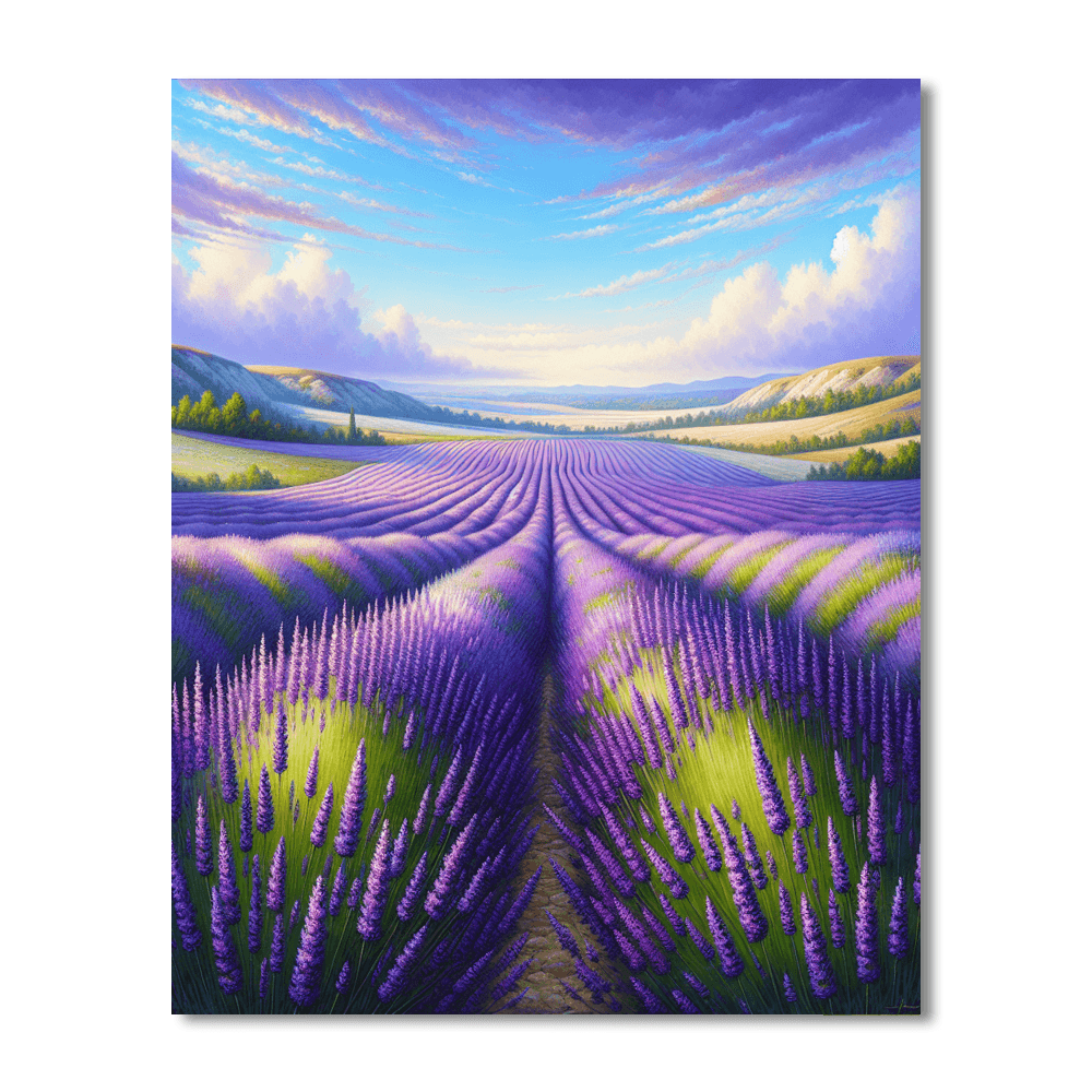 Captivating Lavender Fields Paint By Color