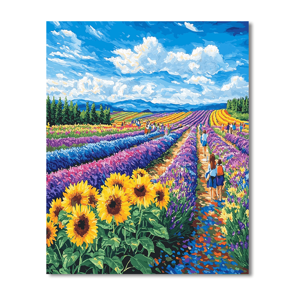 Hokkaido Flower Fields Paint By Numbers Kits