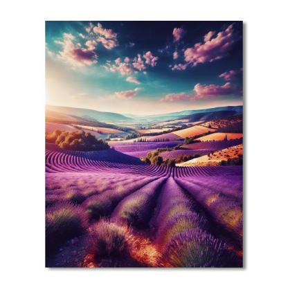 Sunny Provence Countryside Numbered Painting Kits