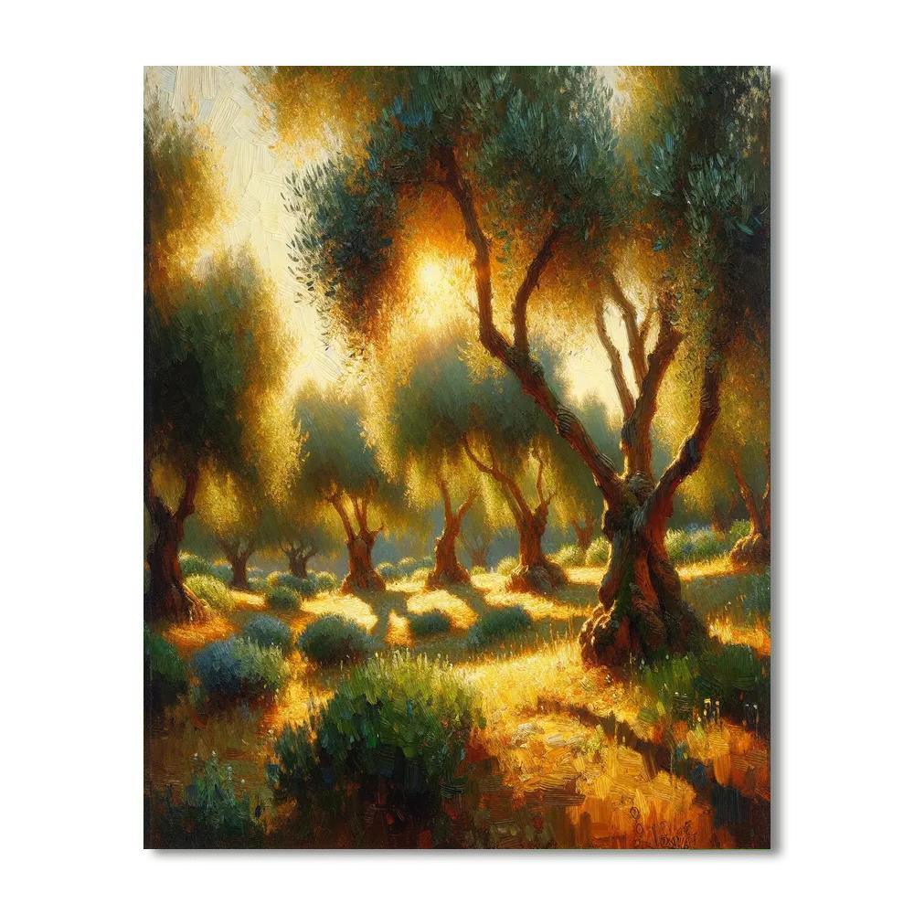 Sunlit Olive Grove Retreat Paint By Numbers