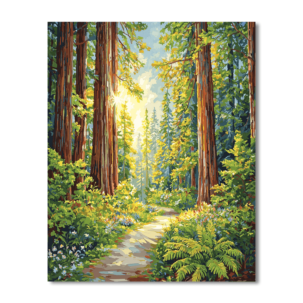 Redwood National And State Parks - California, Usa Numbered Painting Kits