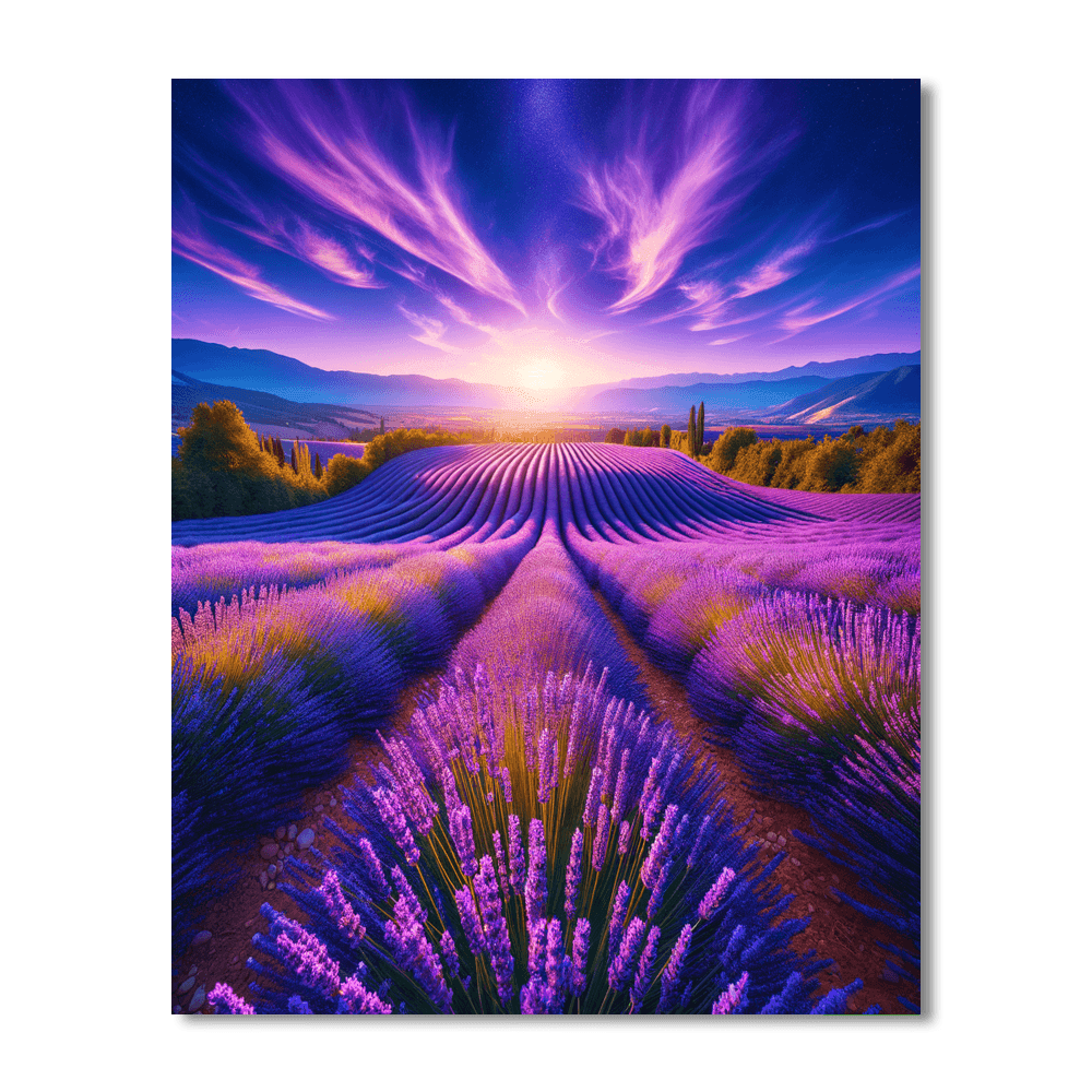 Blissful Lavender Fields Paint By Color