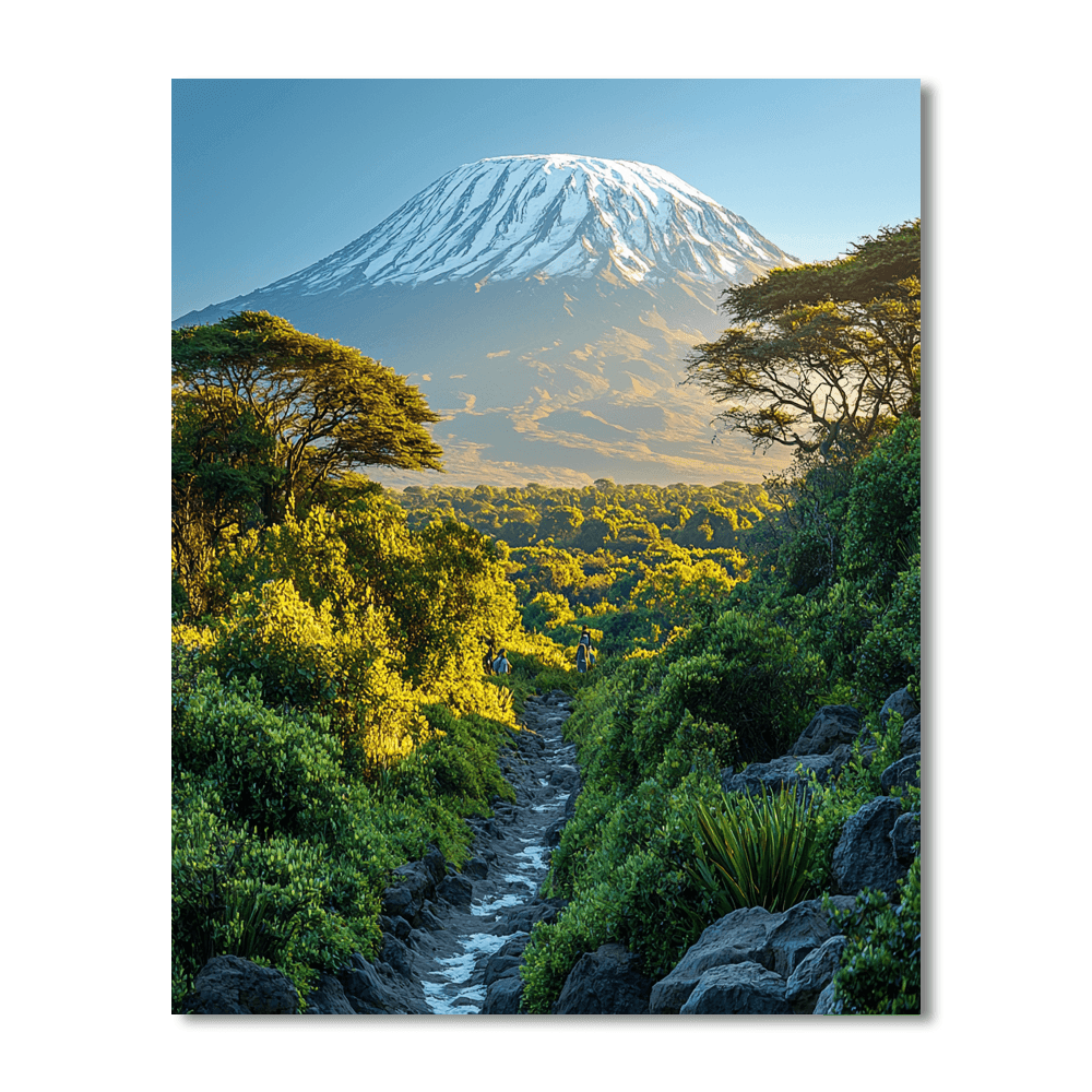 Kilimanjaro National Park Paint By Numbers