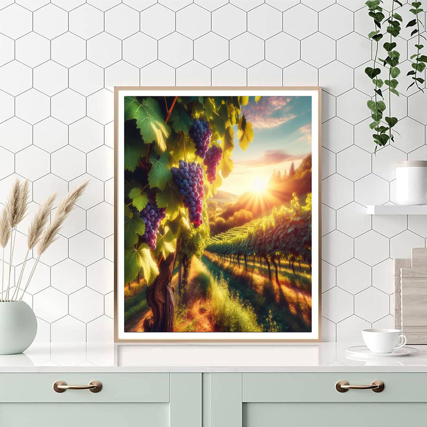 Sunny Vineyard In Harvest Numbered Painting Kits