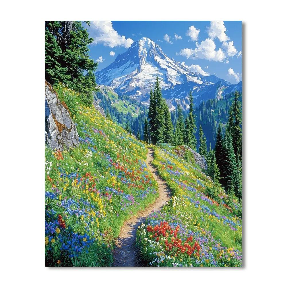 Mount Rainier National Park - Usa Numbered Painting Kits