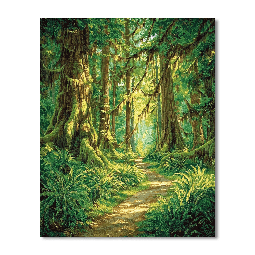 Hoh Rainforest - Olympic National Park Numbered Painting Kits