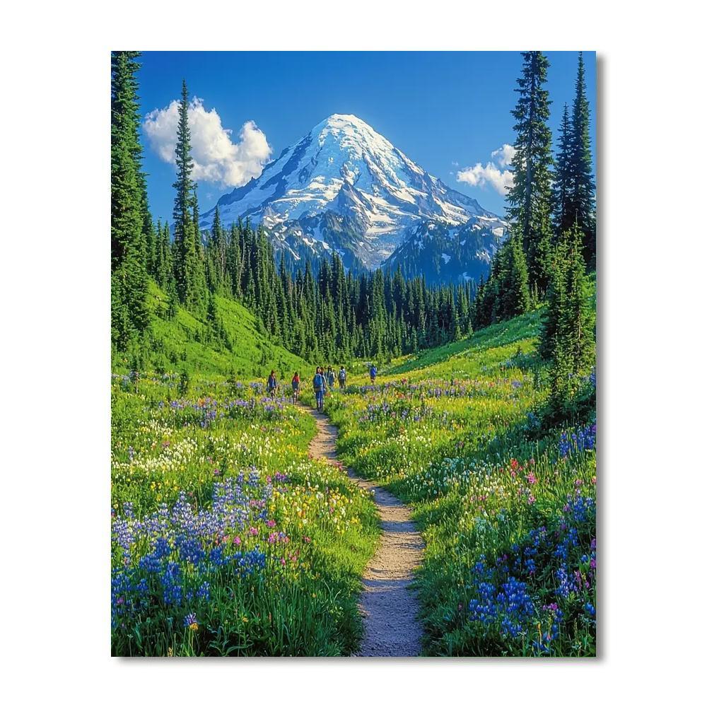 Mount Rainier National Park - Washington Paint By Number