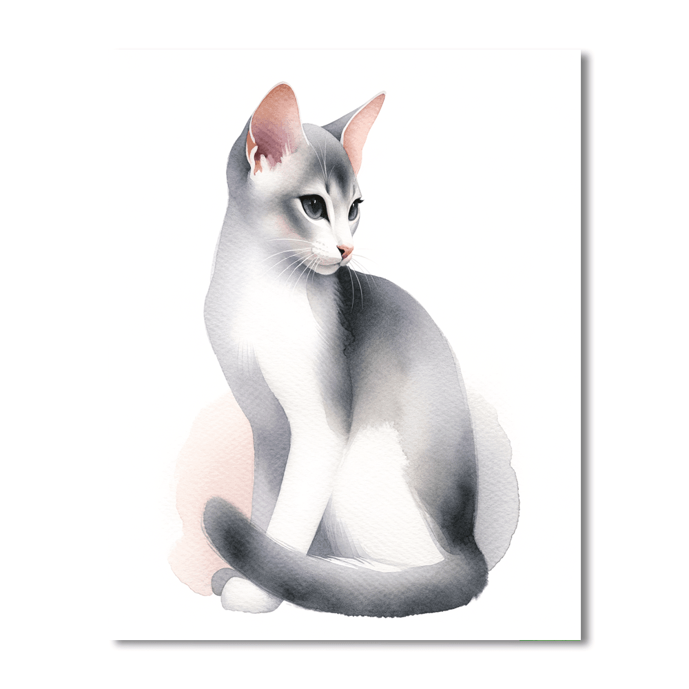 Whiskered Dreams Painting Number Kit