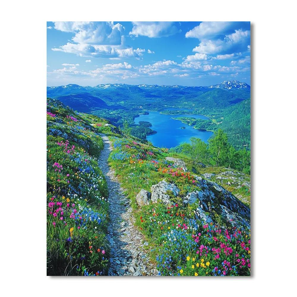 Kungsleden Trail - Sweden Paint By Color