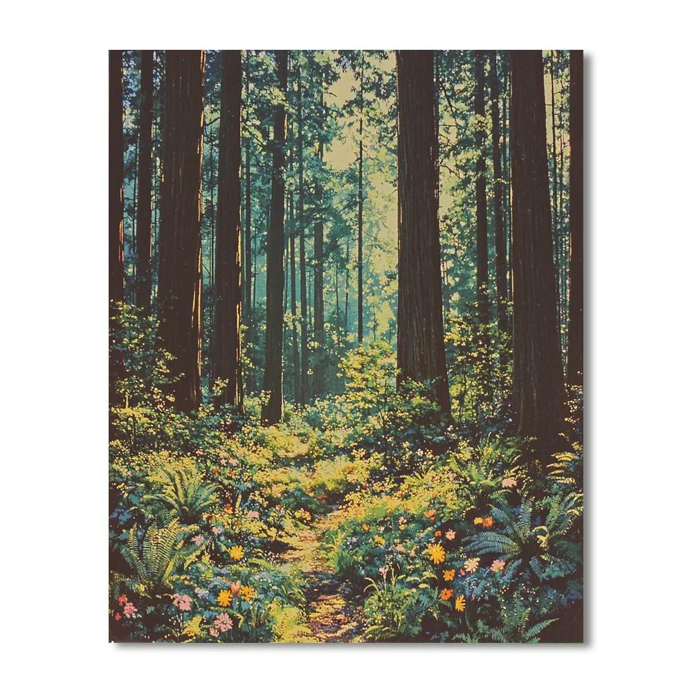 Redwood National And State Parks - California Numbered Painting Kits