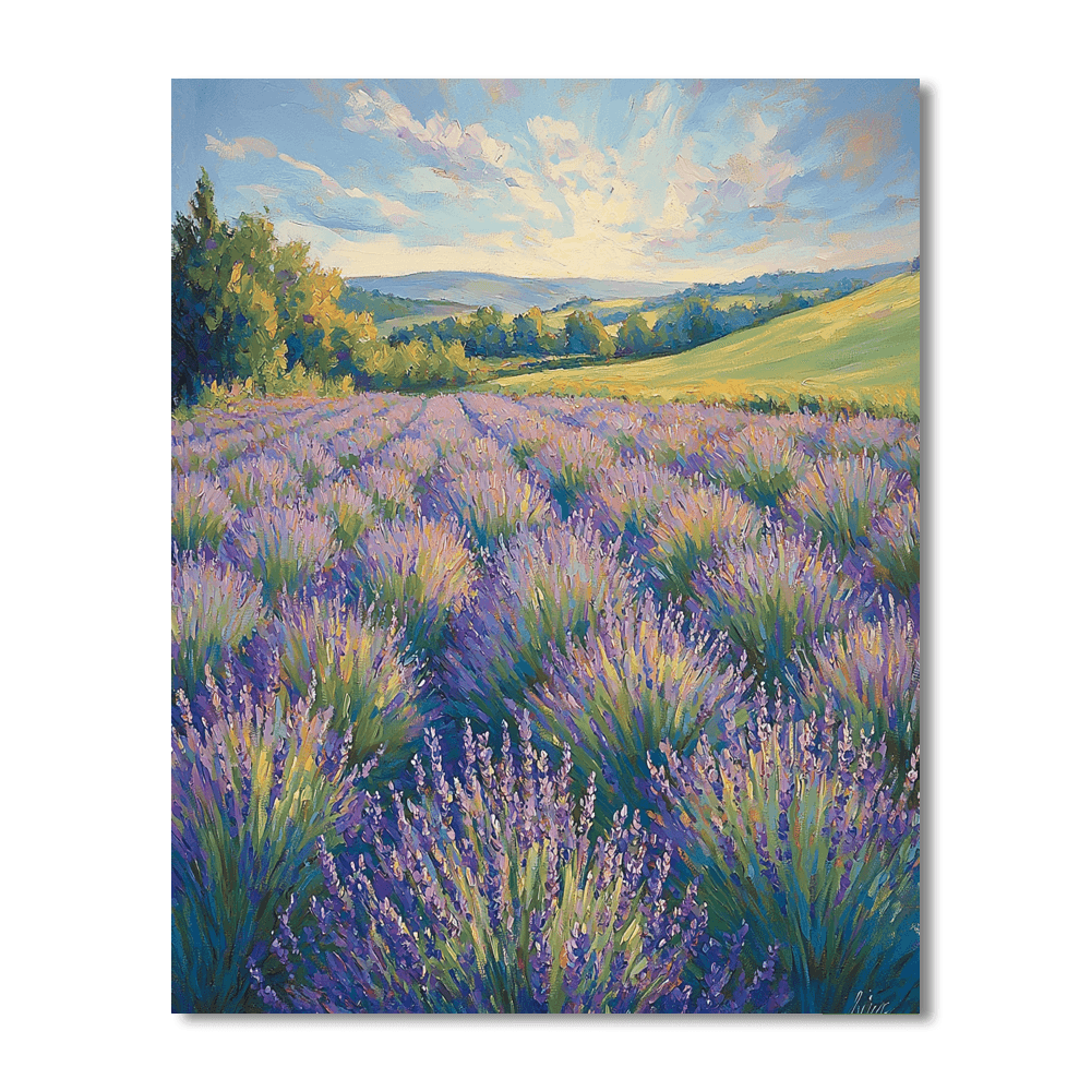 Claude Monet Inspired Fields Of Lavender  Painting By Numbers Kit
