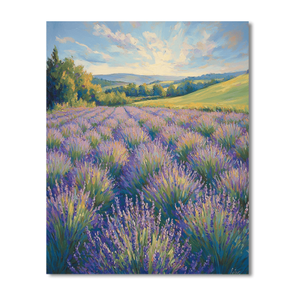 Claude Monet Inspired Fields Of Lavender  Painting By Numbers Kit
