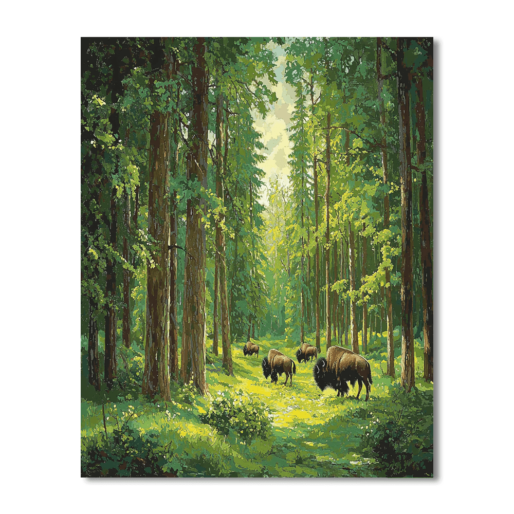 Białowieża Forest - Poland/belarus Painting By Numbers Kit