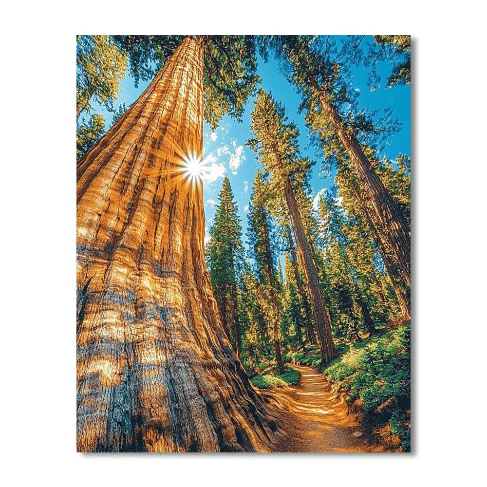 Sequoia National Park - California Numbered Painting Kits