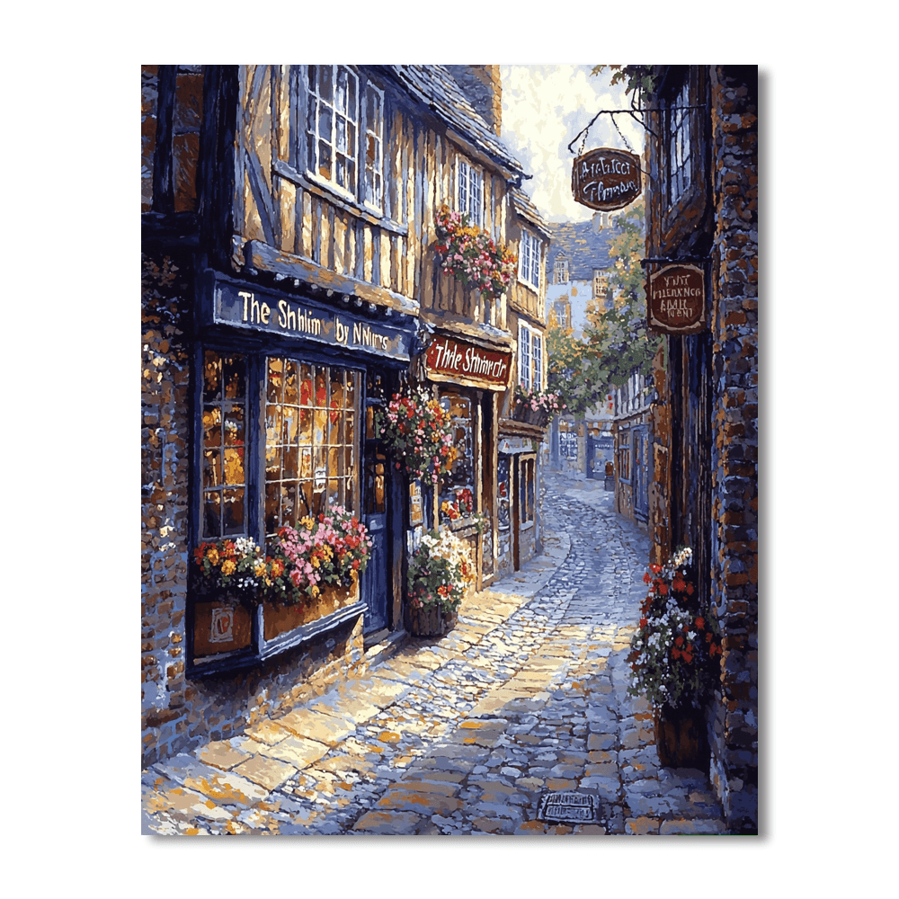 The Shambles - York, England DIY Paint By Numbers