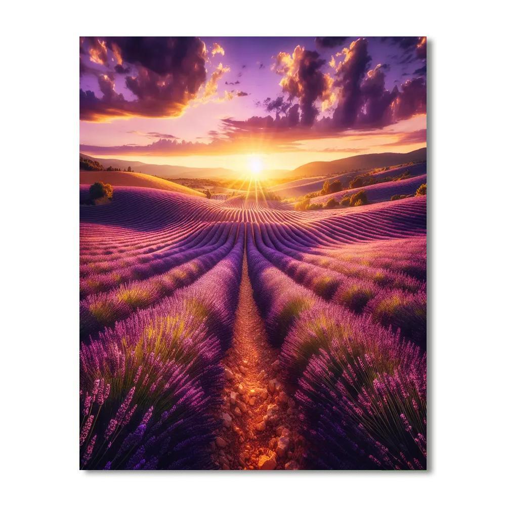 Sunlit Provence Lavender Paint By Numbers Kits