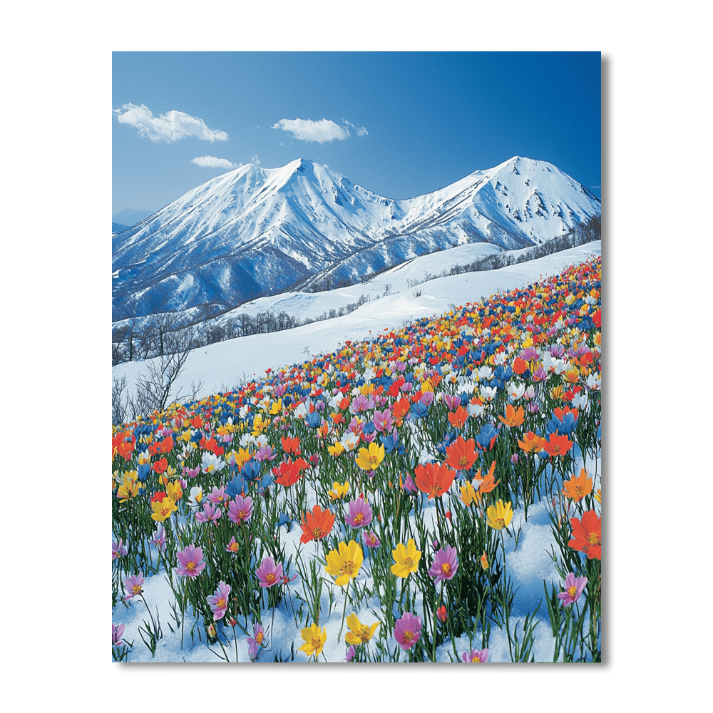 Hokkaido Paint By Numbers Kits