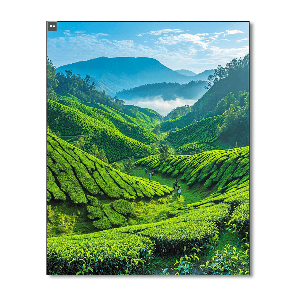 Munnar Paint By Color
