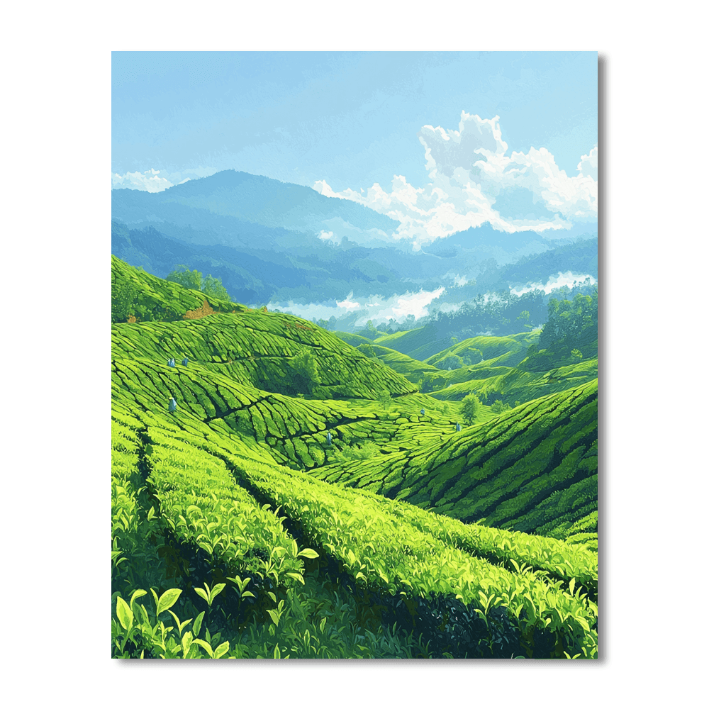 Munnar Tea Gardens DIY Paint By Numbers