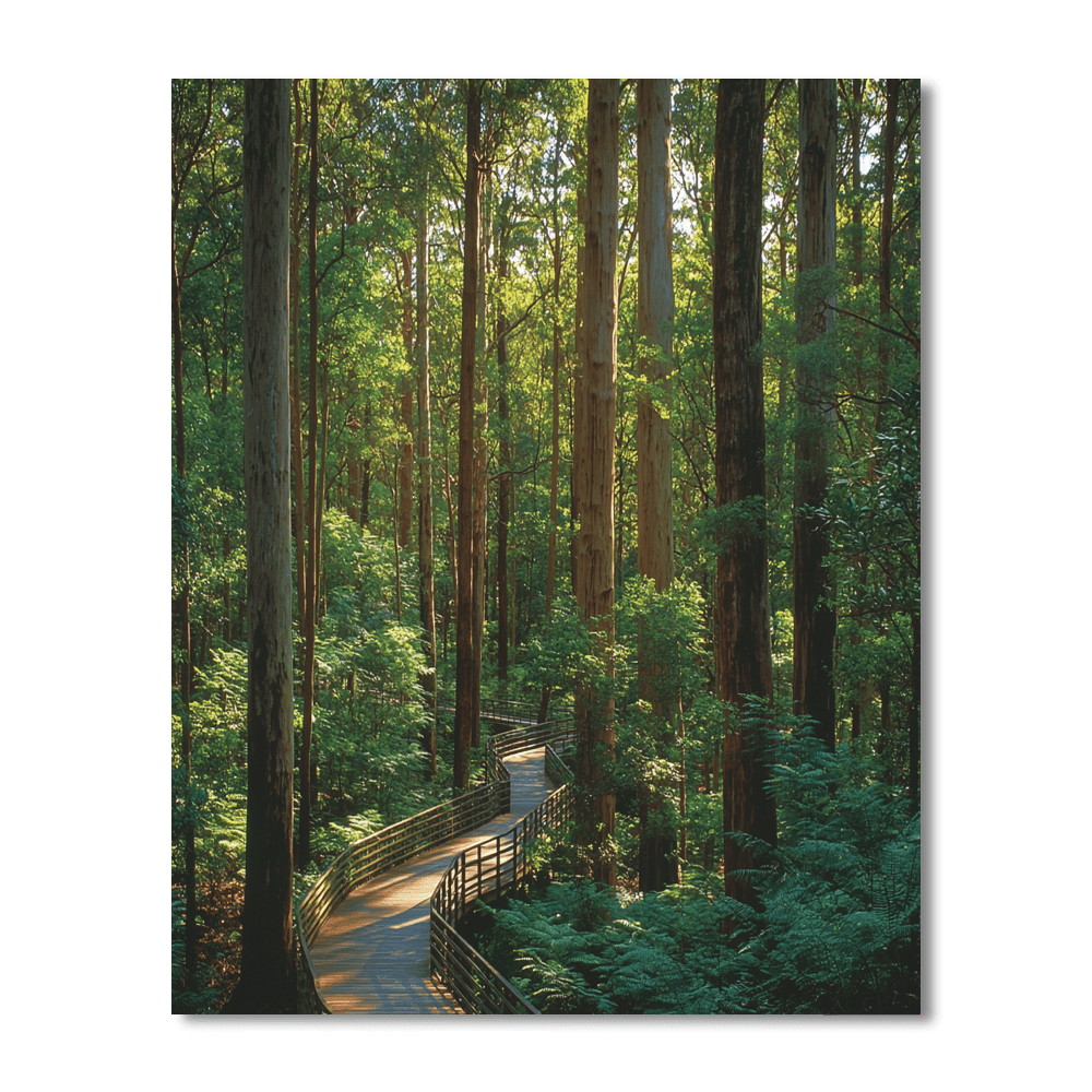 Valley Of The Giants Tree Top Walk - Walpole Paint By Numbers Kits