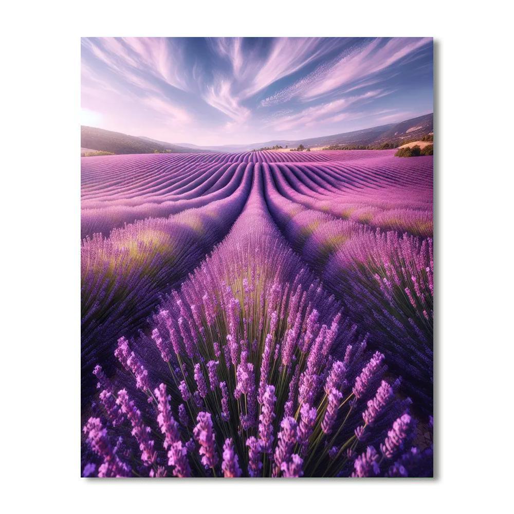 Lavender Field Symphony Paint By Number