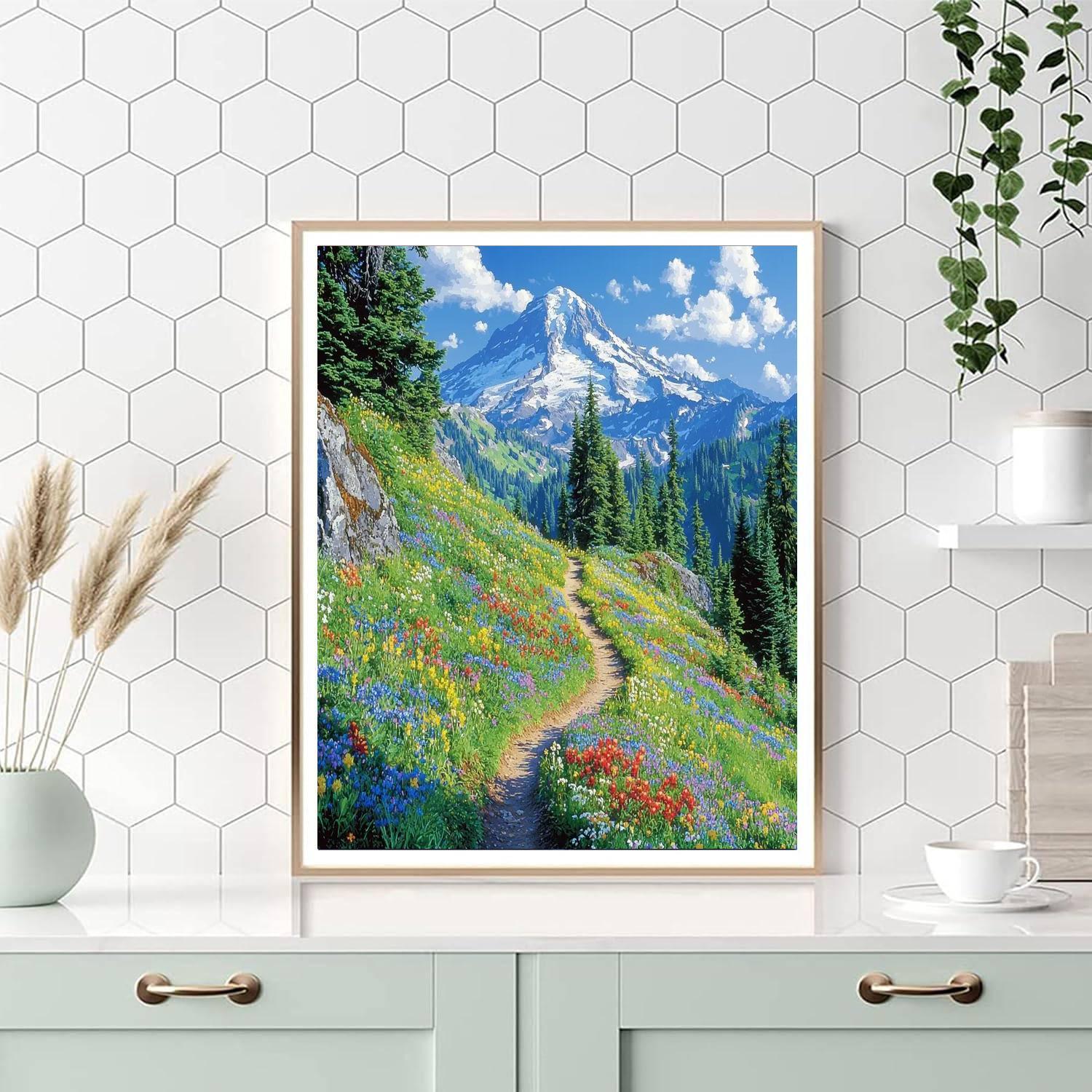 Mount Rainier National Park - Usa Numbered Painting Kits