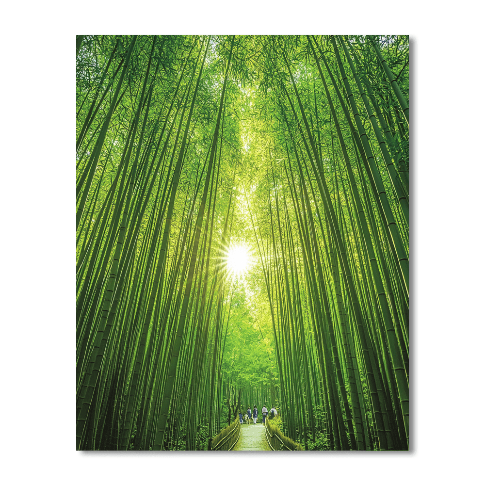 Bamboo Forest - Chengdu DIY Paint By Numbers