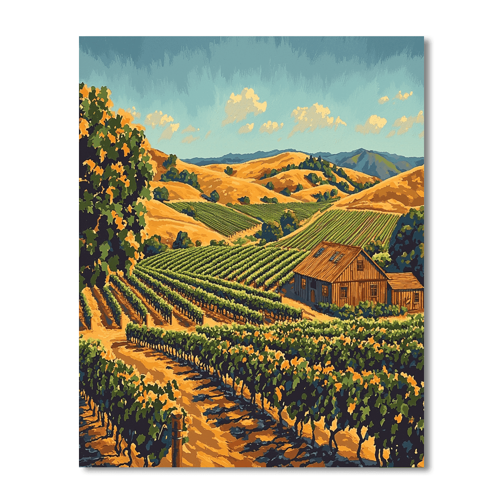 Napa Valley Vineyards - Napa Paint By Numbers Kits