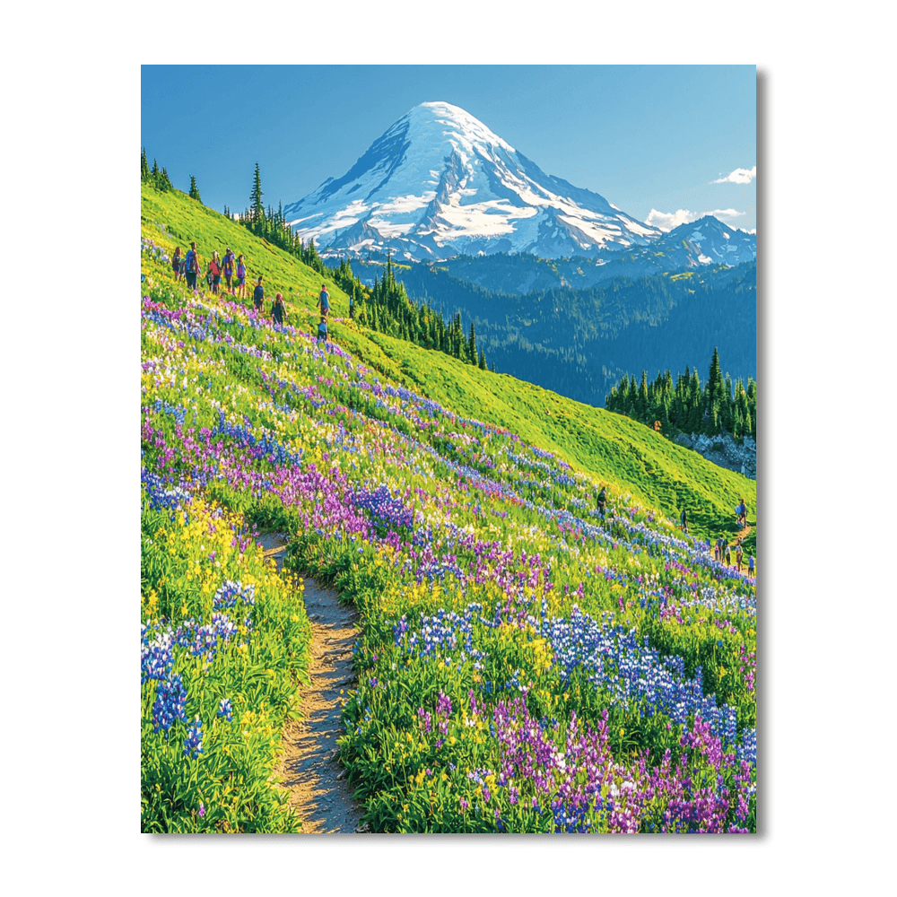 Mount Rainier National Park Numbered Painting Kits