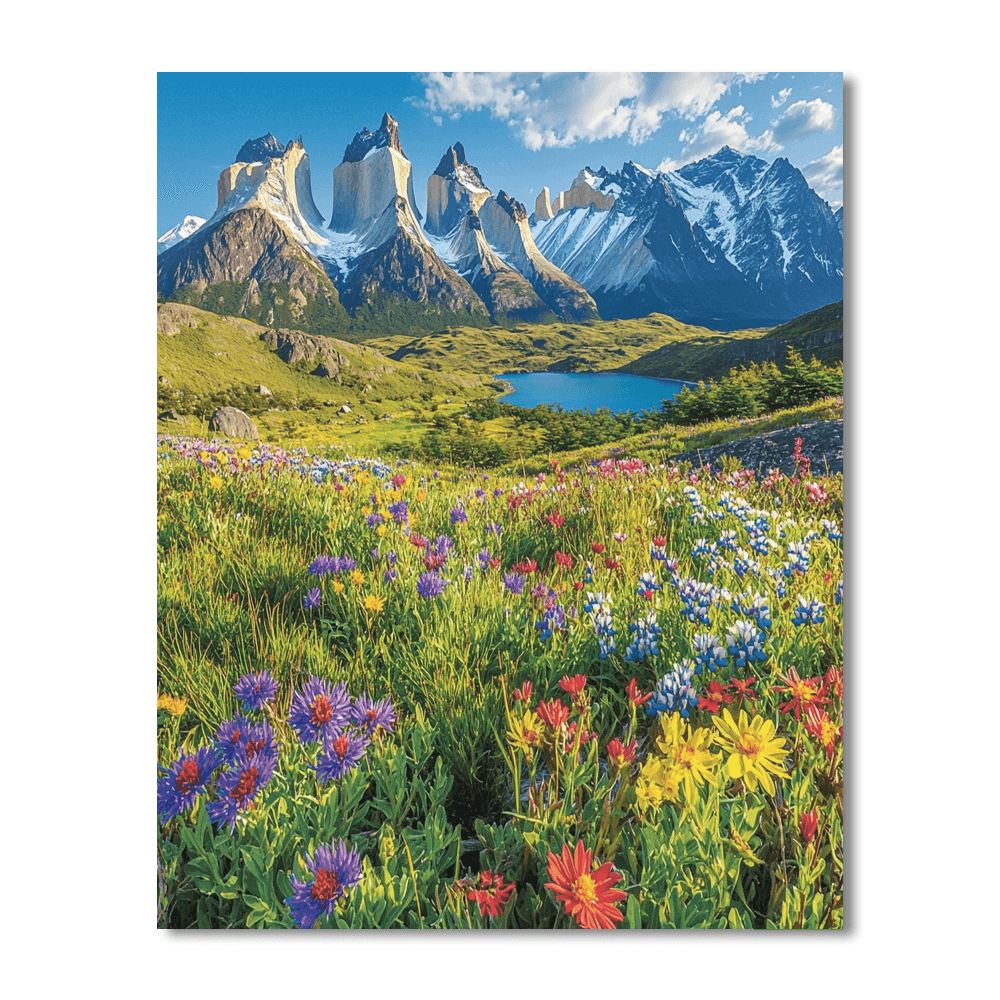 Torres Del Paine National Park Paint By Numbers