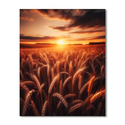 Golden Wheat Sunset Paint By Number
