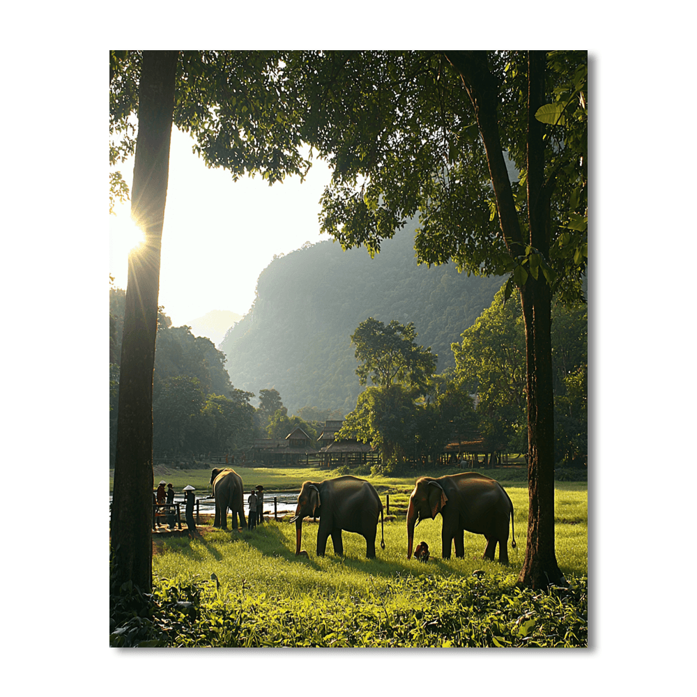 Elephant Sanctuary In Chiang Mai - Thailand Numbered Painting Kits