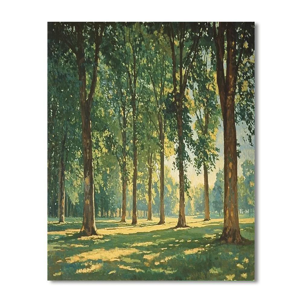 Paul Cézanne Inspired Light Through The Trees  Painting By Numbers Kit