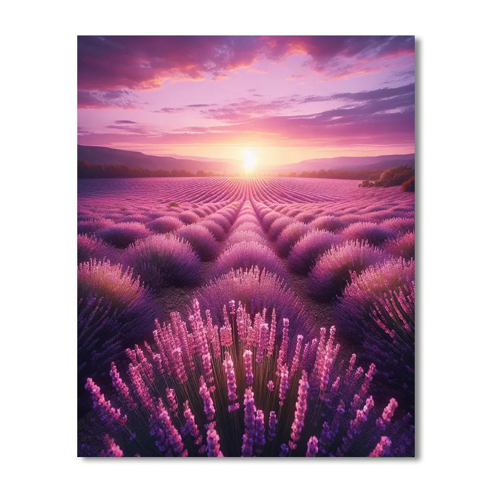 Dreamy Lavender Dreamscape Paint By Number