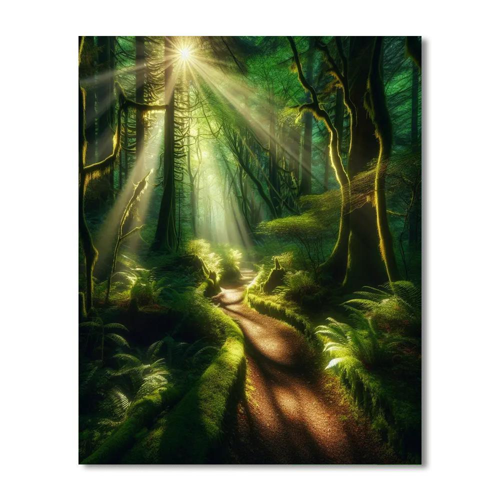 Whimsical Woodland Trail Paint By Number