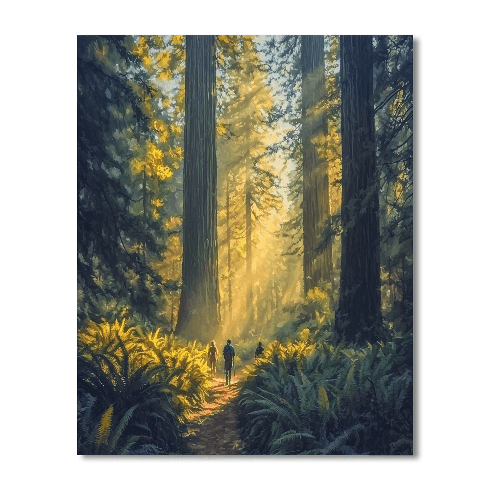 Redwood National And State Parks Painting By Numbers Kit