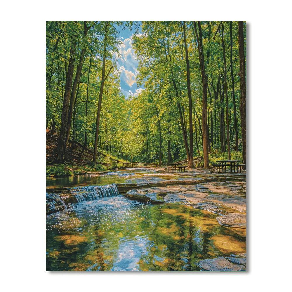 Bubbling Springs Number Painting