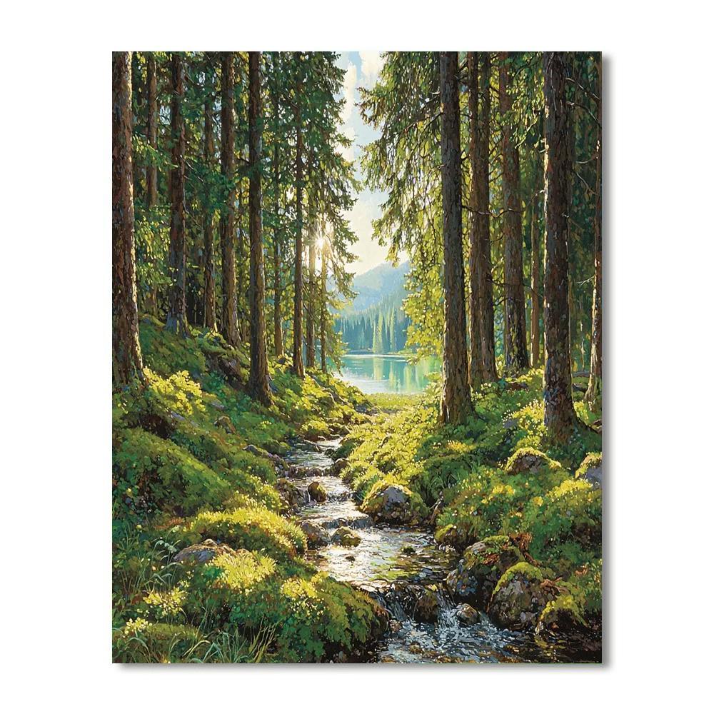Bavarian Forest National Park - Germany Numbered Painting Kits