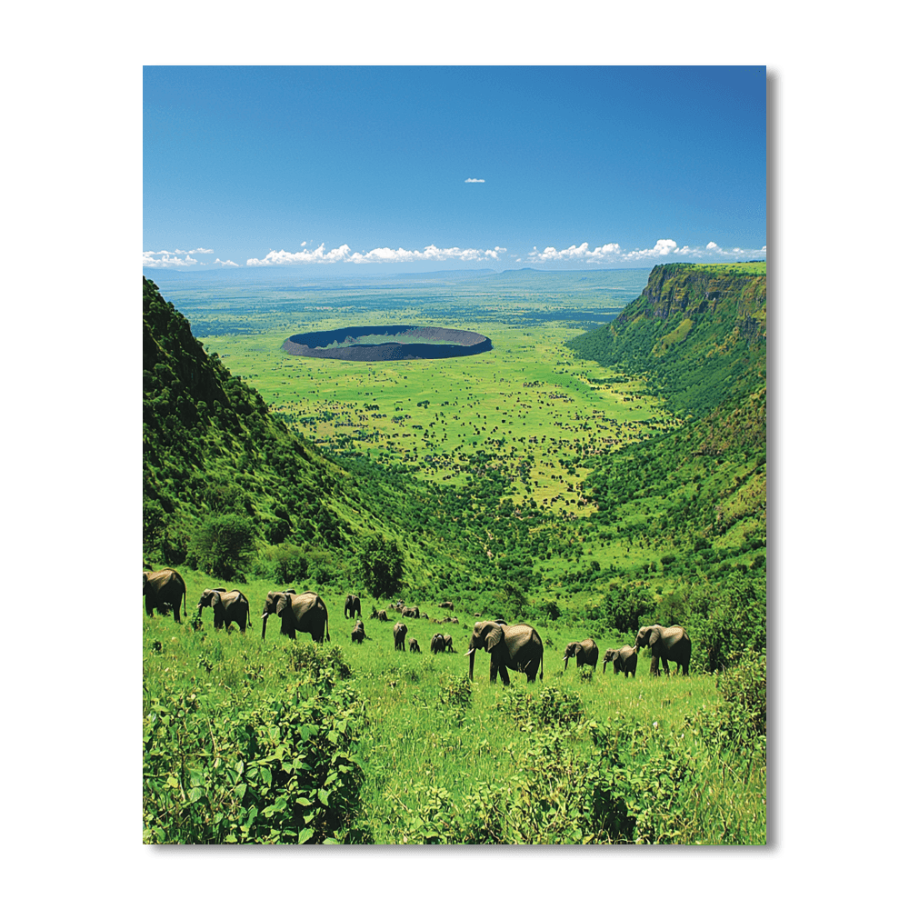 Ngorongoro Crater DIY Paint By Numbers