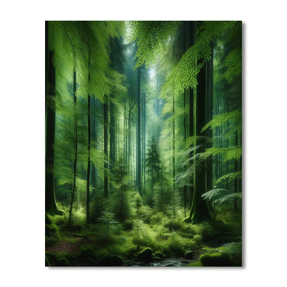 Forest Sanctuary Of Tranquility Paint By Color