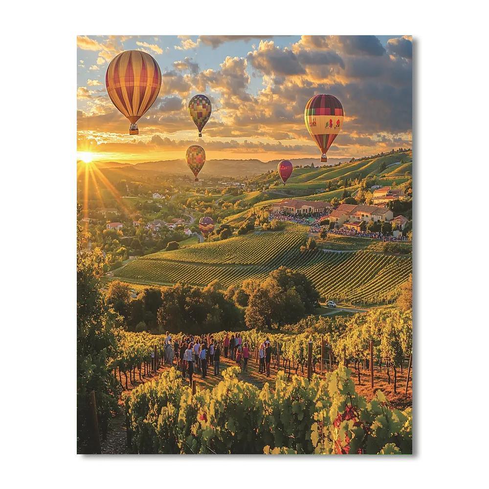 Napa Valley - California Paint By Number