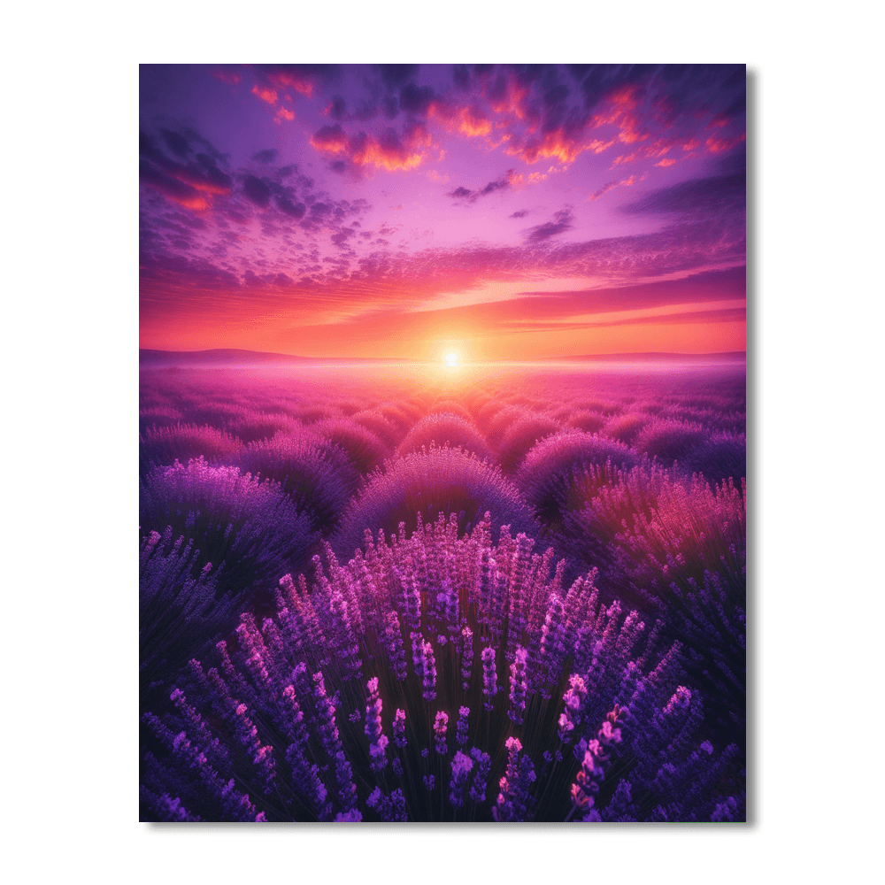 Sunrise Over Lavender Fields - DIY Painting By Numbers Kit