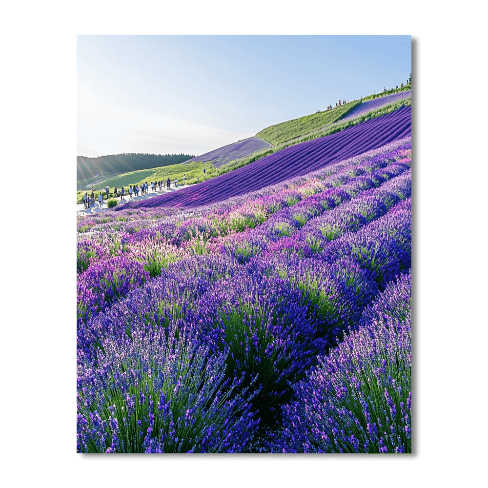 Hokkaido’s Furano Flower Fields DIY Paint By Numbers