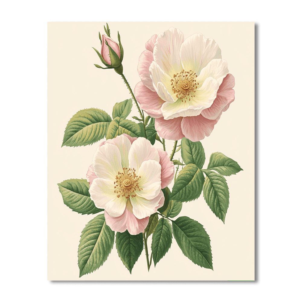 Pierre-Joseph Redouté Inspired Vintage Botanical Study  Paint By Color