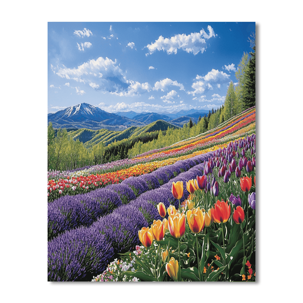Hokkaido's Flower Fields Paint By Numbers Kits