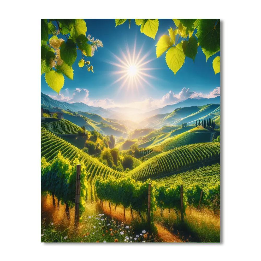 Sundrenched Italian Countryside Paint By Numbers Kits
