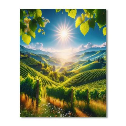 Sundrenched Italian Countryside Paint By Numbers Kits